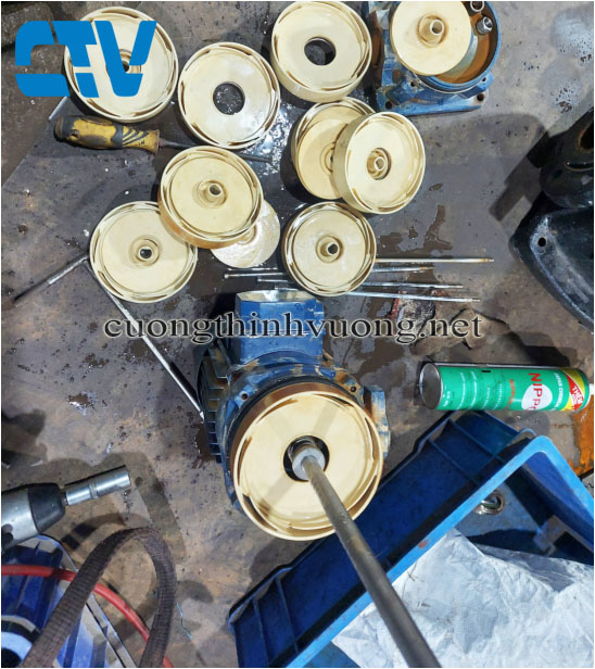 Giải Pháp Thay Thế Buồng Cánh Nhựa Cho Máy Bơm Trục Đứng