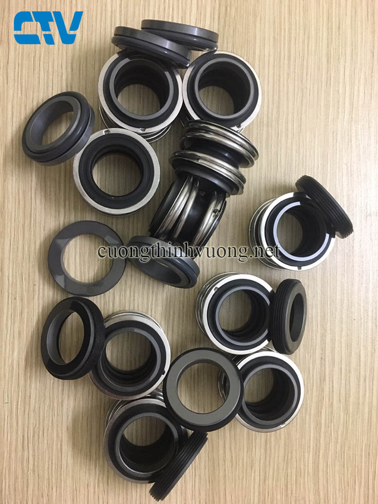 Thay phớt máy bơm chìm Hà Nội