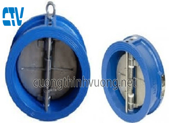 Van 1 chiều cánh bướm