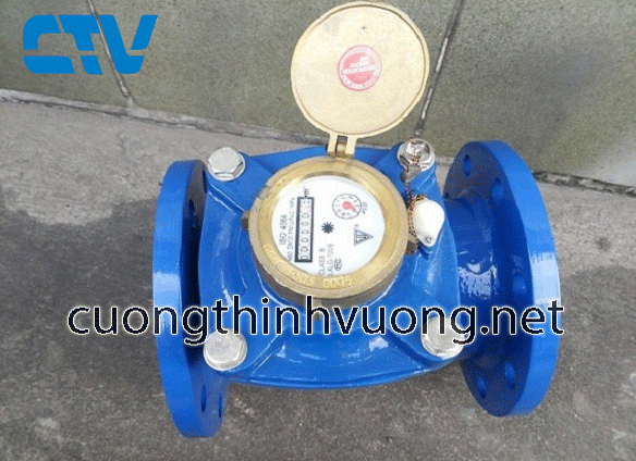Đồng hồ nước Fuzhou-Fuda DN100