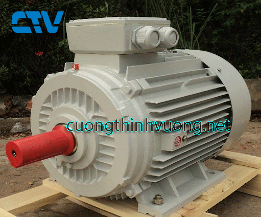 Động cơ điện ESC