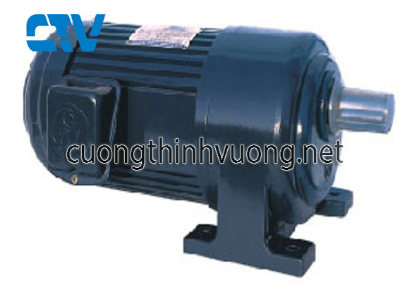 Motor giảm tốc Dolin chân đế