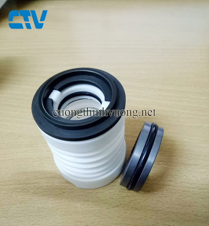 Phớt máy bơm hóa chất WB3-25 (phớt cơ khí)