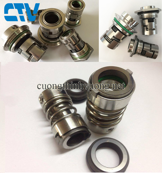 Phớt trục đứng máy bơm CNP CDL 4 - 19