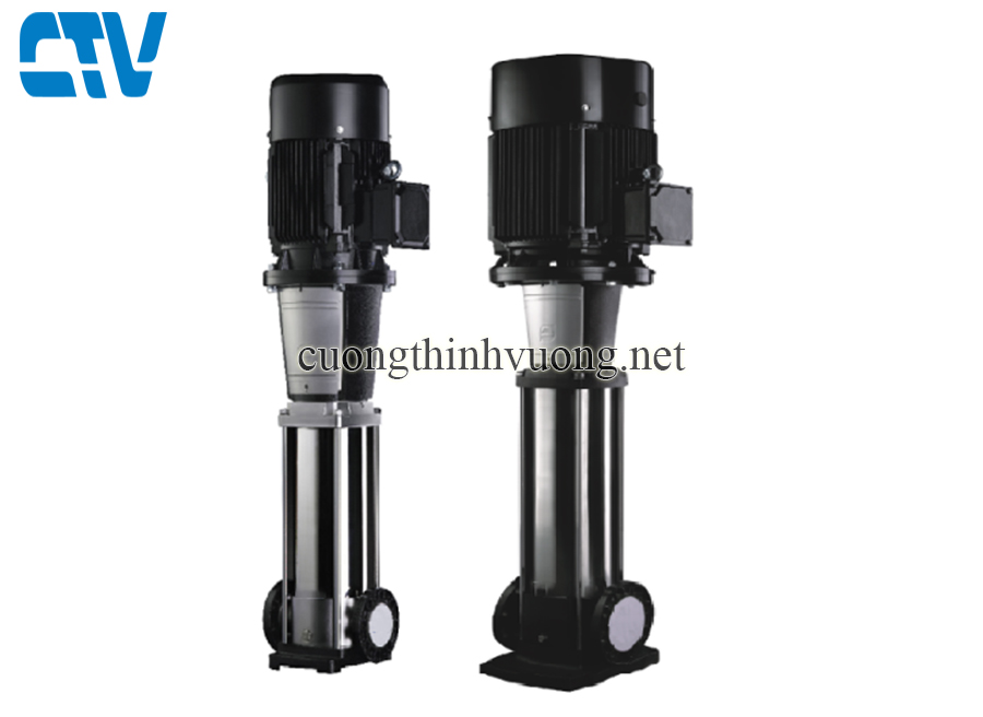 Máy bơm nước trục đứng Paragon PV 65-80/2