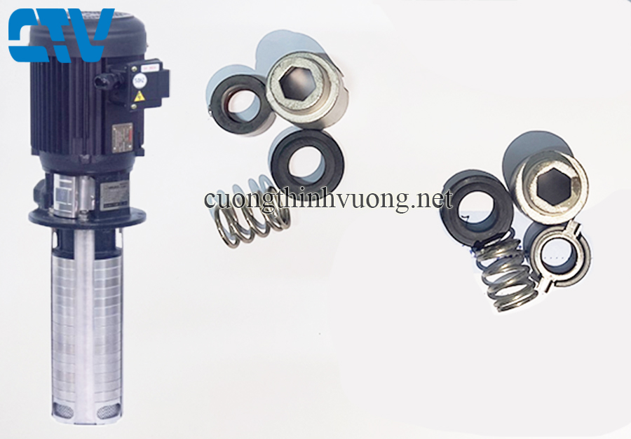 Phớt máy bơm Walrus TPCK 2T