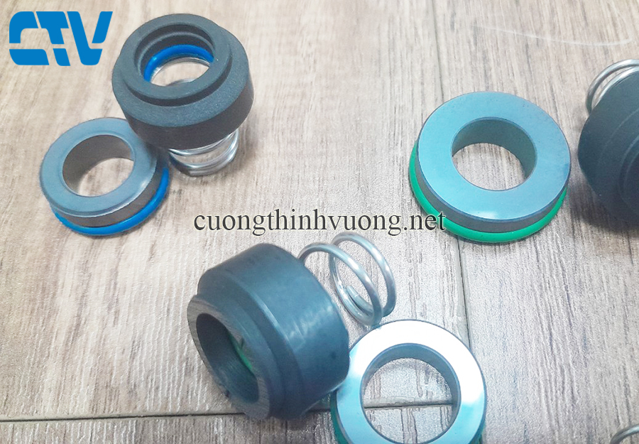 Phớt bơm chịu nhiệt Type phớt CTV/M2N-30